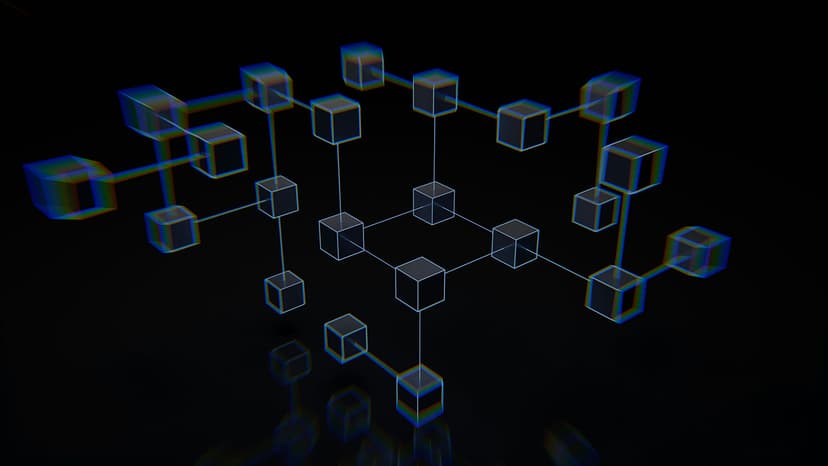 Where Do Cryptocurrency Networks Live?