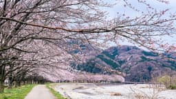 Spring: A Season for Fresh Starts
