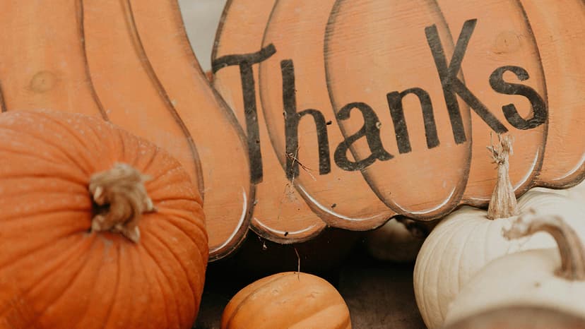 What Are the Most Popular Choices for a Happy Thanksgiving Dinner at Home?