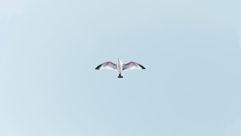 The Art of Web Design: Exploring Beyond Flat and Minimalistic