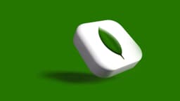 What is MongoDB?