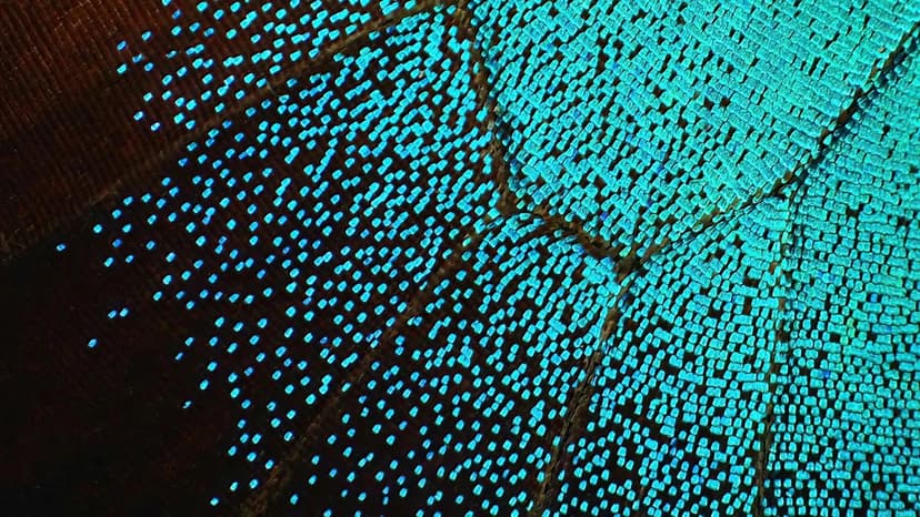 What is Perplexity AI and How to Get Started Using It