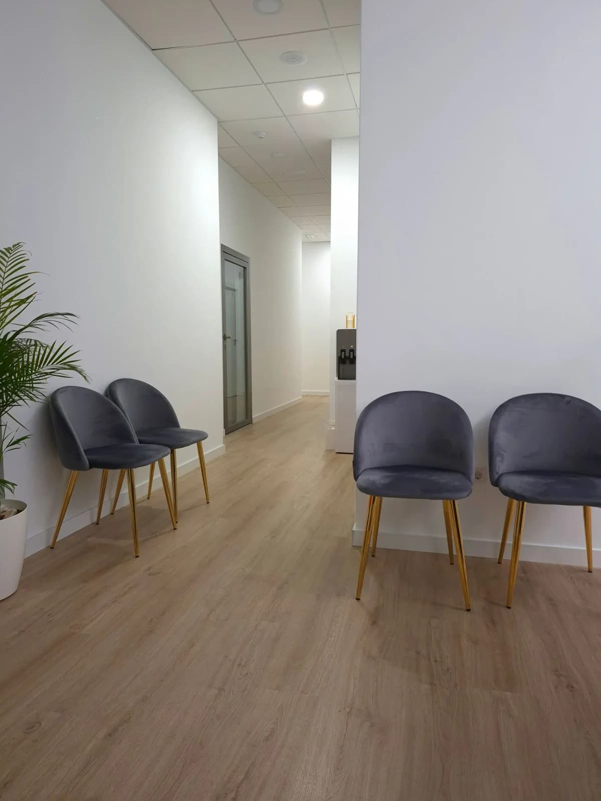 A quiet waiting area with chairs and a plant