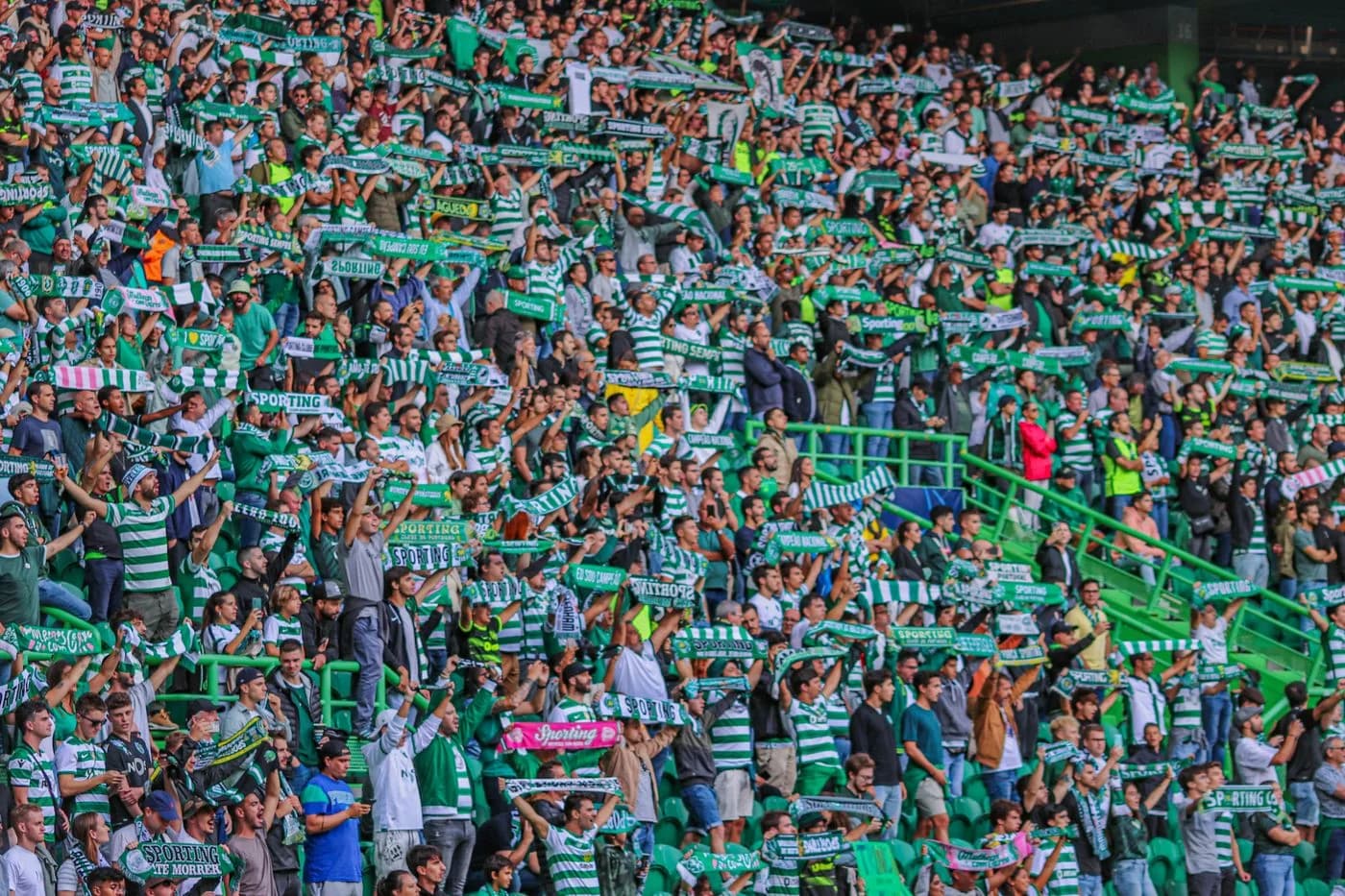 Supporters raising green and white scarves together in the stands