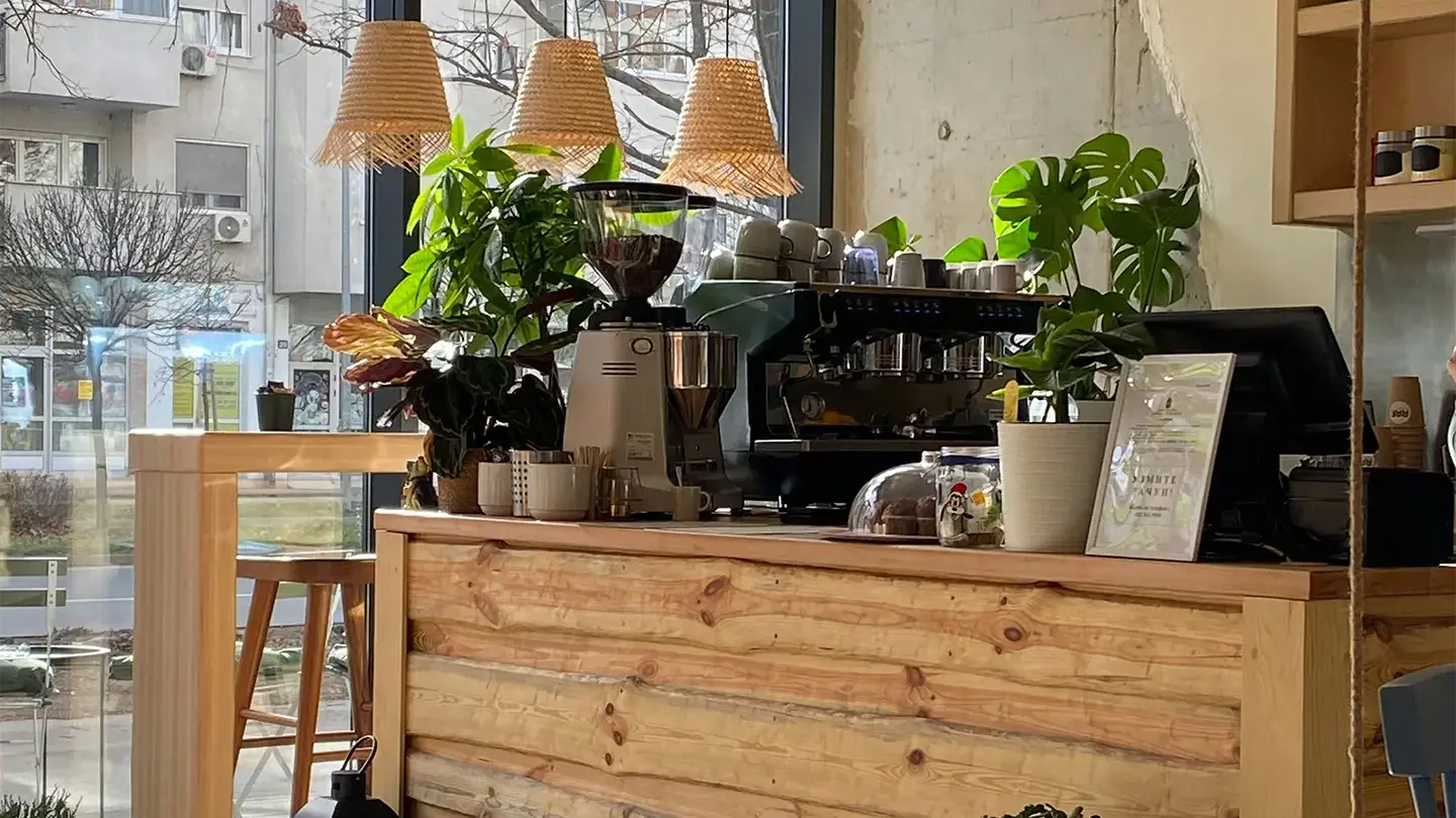 Warm afternoon light across the counter of an independent coffee shop