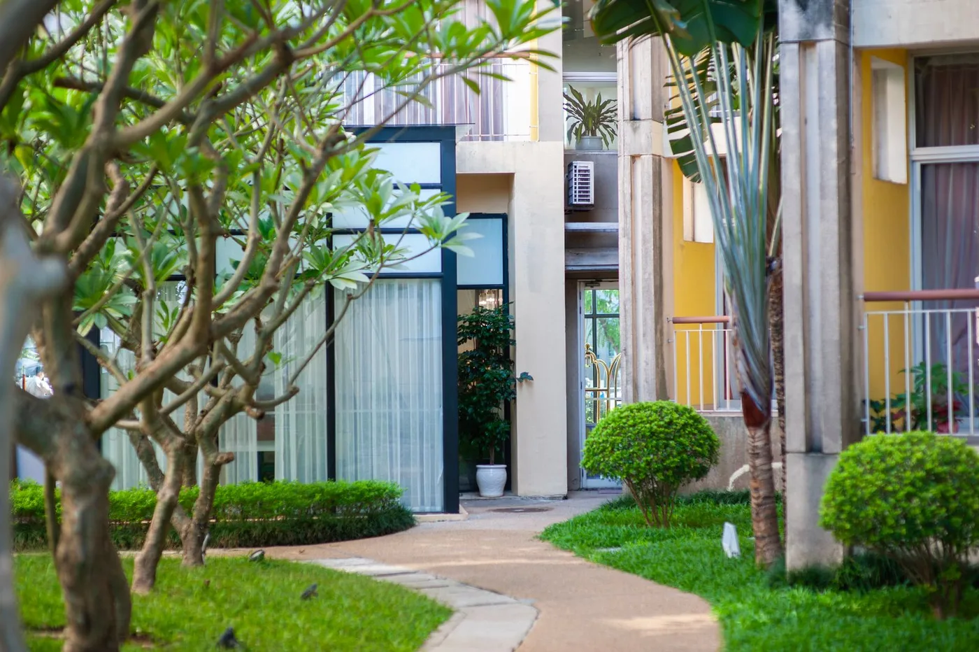 A landscaped garden path winding between modern residences and leafy trees